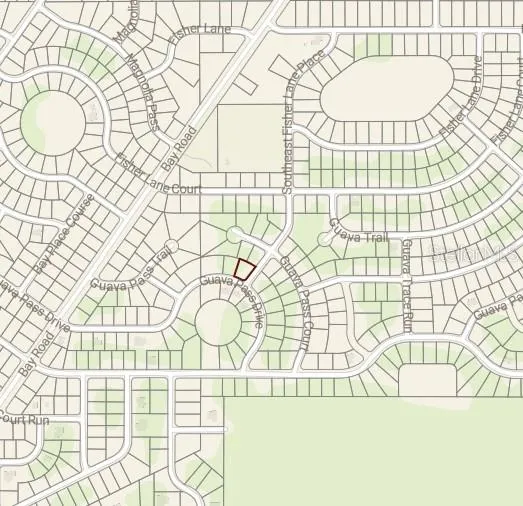 BLK 1261 LOT 16 SE FISHER LANE PLACE Ocklawaha, FL 32179