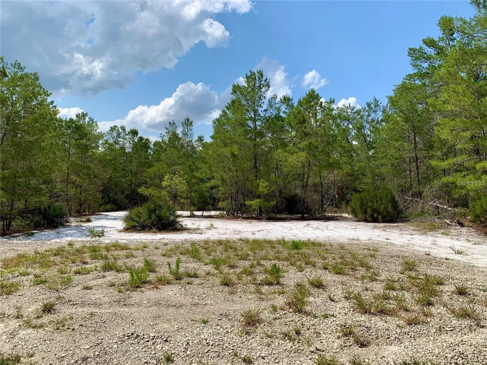 30280 W BLUEBELL AVENUE Eustis, FL 32736