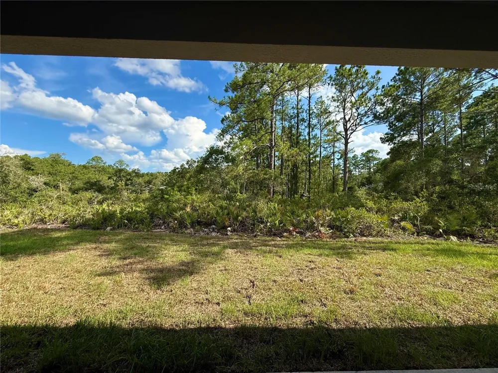 30280 W BLUEBELL AVENUE Eustis, FL 32736