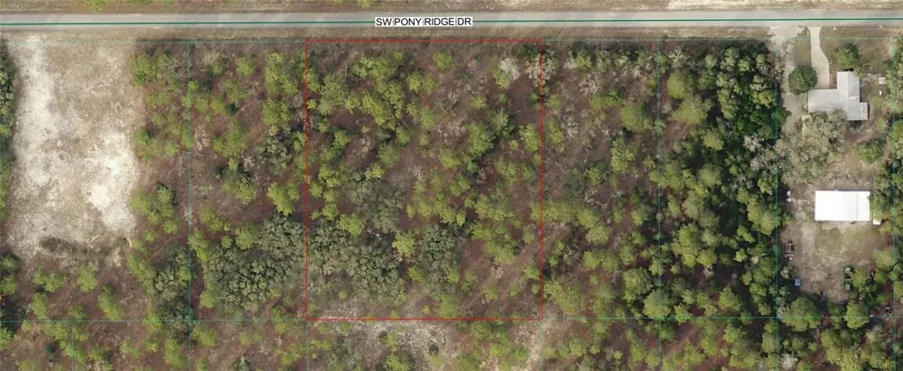 10.11 SW PONY RIDGE DRIVE SW Dunnellon, FL 34431
