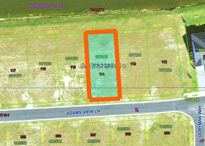 361 ADAMS VIEW LANE Auburndale, FL 33823