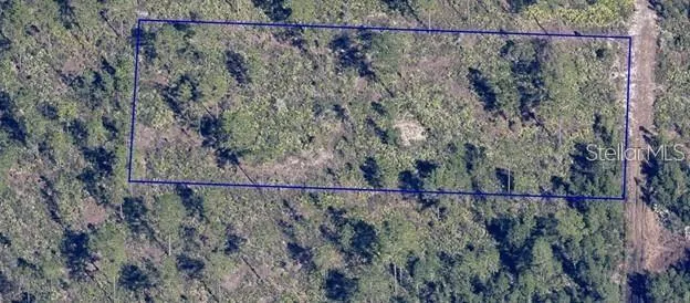 DILL ROAD Orlando, FL 32820