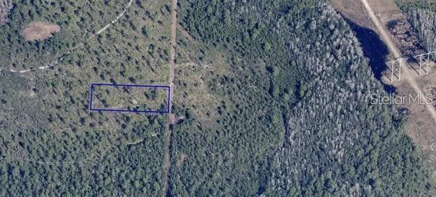 DILL ROAD Orlando, FL 32820