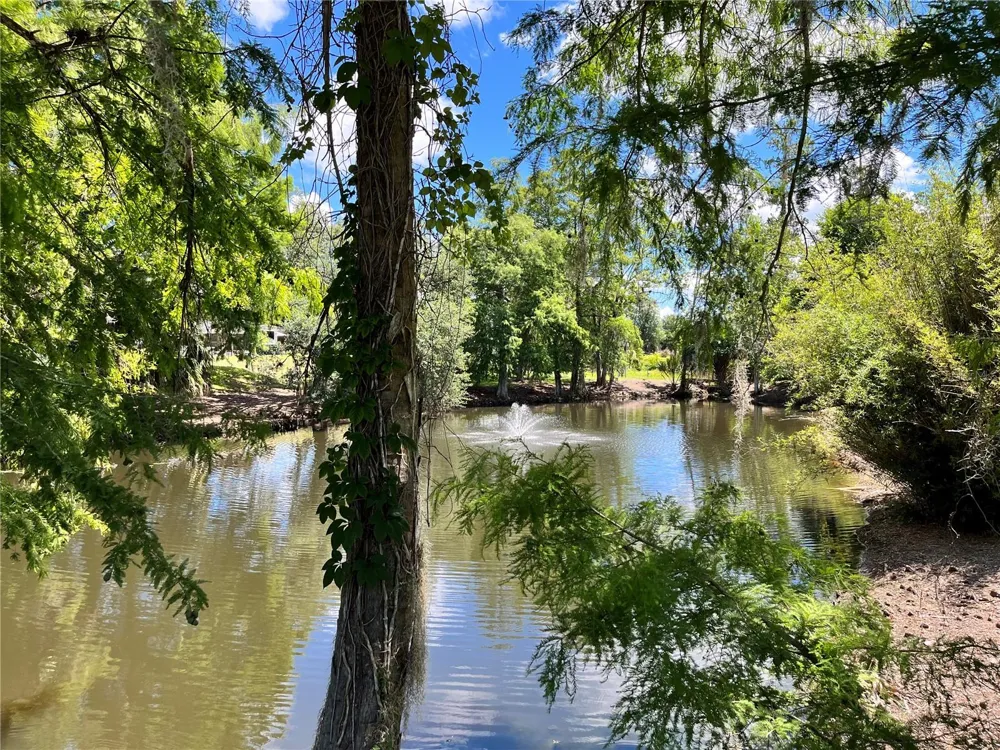 2856 NE 104TH AVENUE Silver Springs, FL 34488