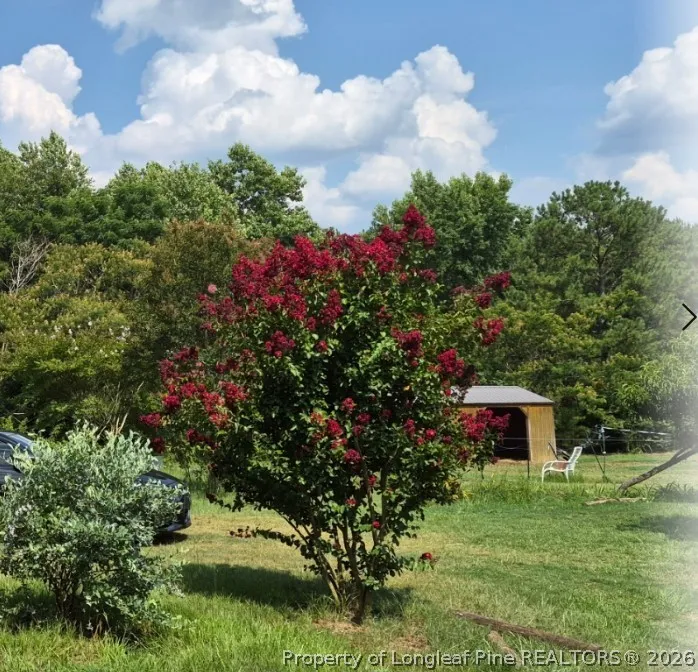 1011 Sweet Raspberry Lane Lillington, NC 27546