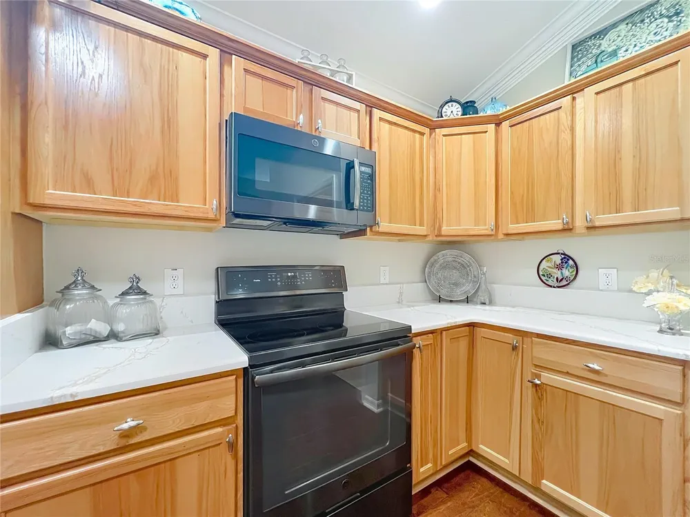 2875 RAIN LILY LOOP The Villages, FL 32163