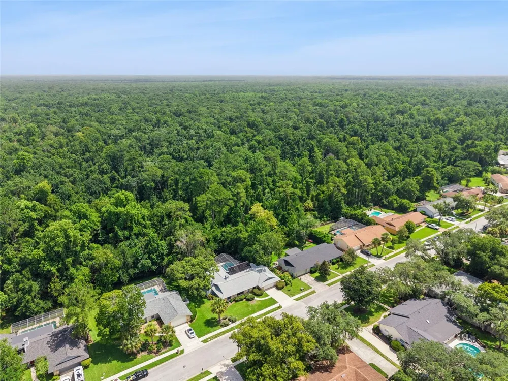 211 HICKORY DRIVE Longwood, FL 32779