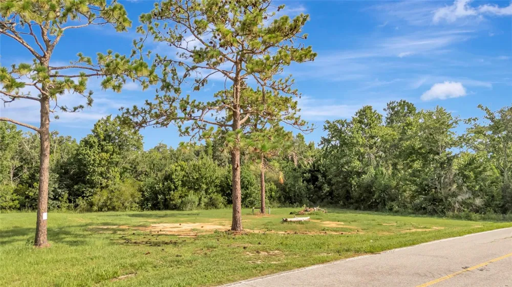 4541 COUNTY ROAD 561 Clermont, FL 34714