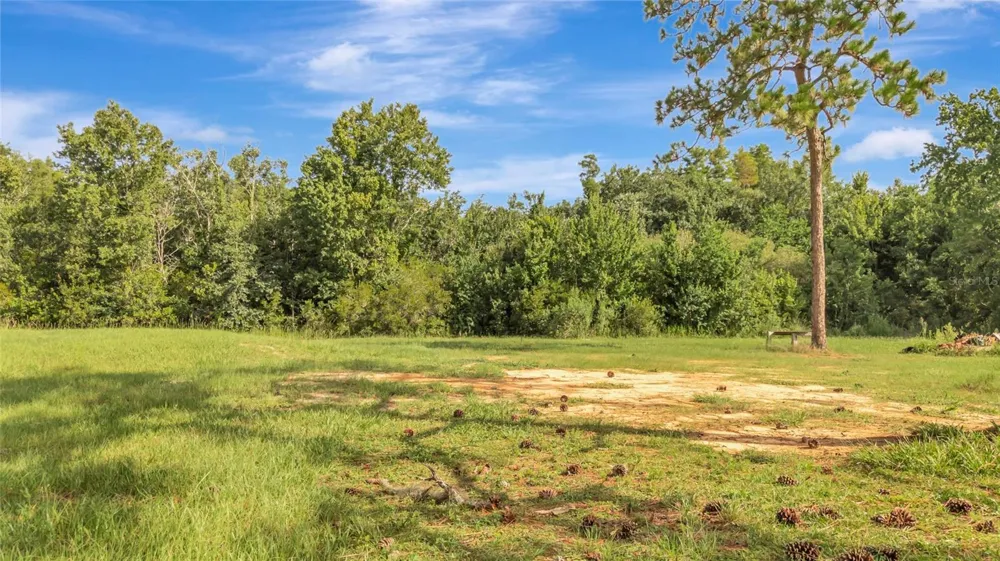 4541 COUNTY ROAD 561 Clermont, FL 34714