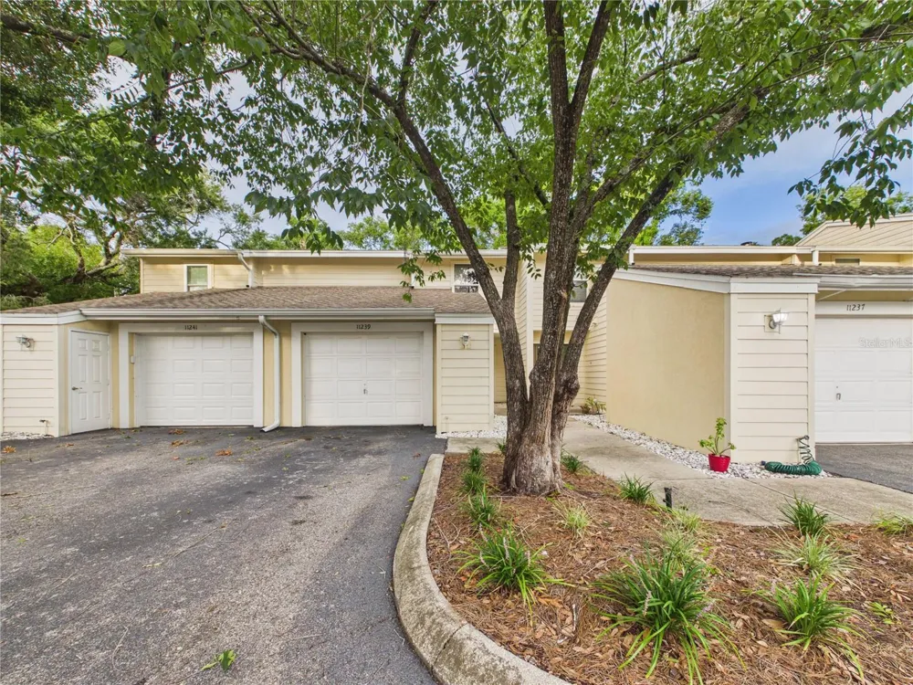11239 CEDAR HOLLOW LANE Tampa, FL 33618