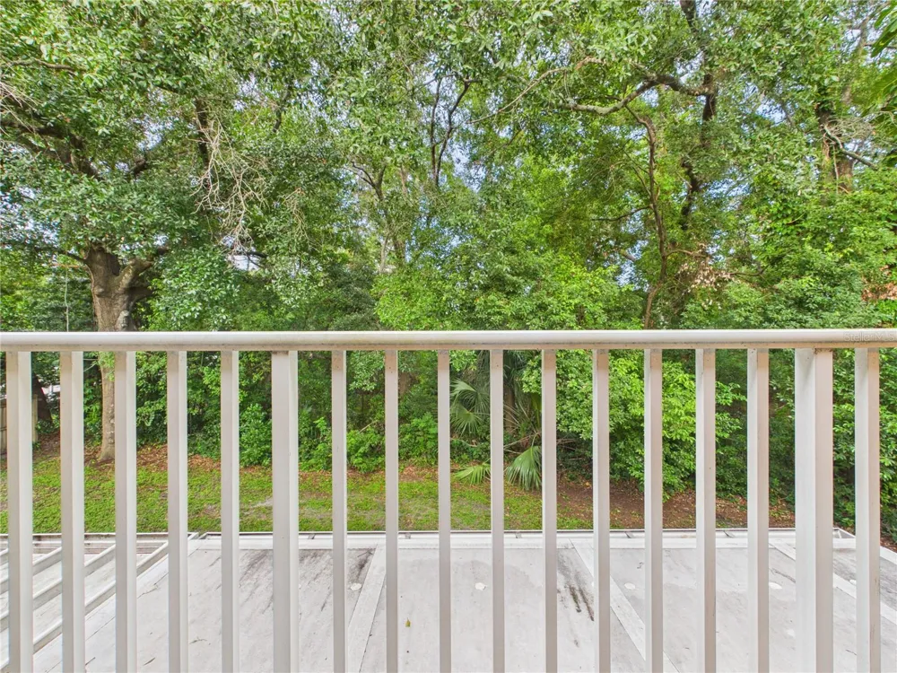 11239 CEDAR HOLLOW LANE Tampa, FL 33618