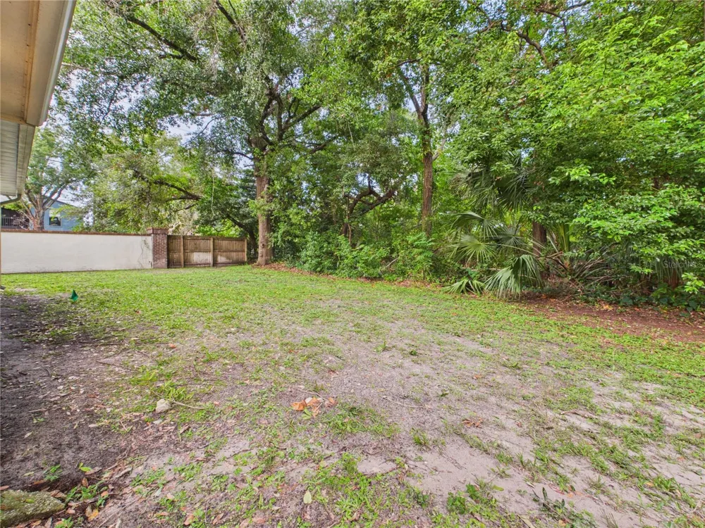 11239 CEDAR HOLLOW LANE Tampa, FL 33618