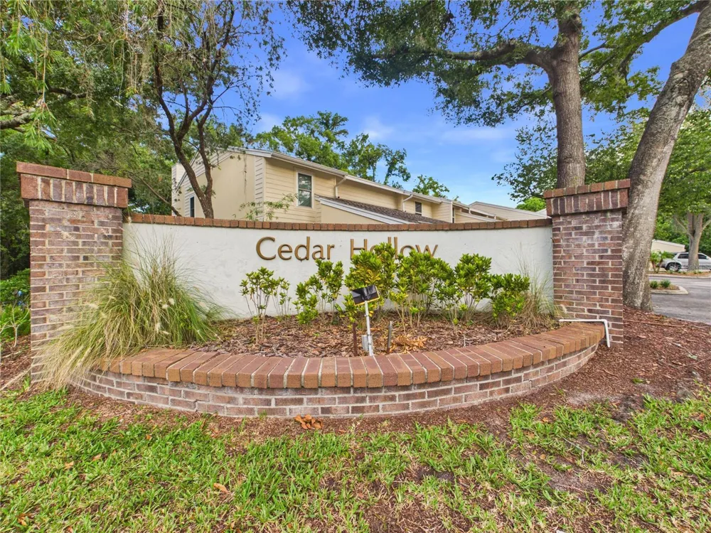 11239 CEDAR HOLLOW LANE Tampa, FL 33618