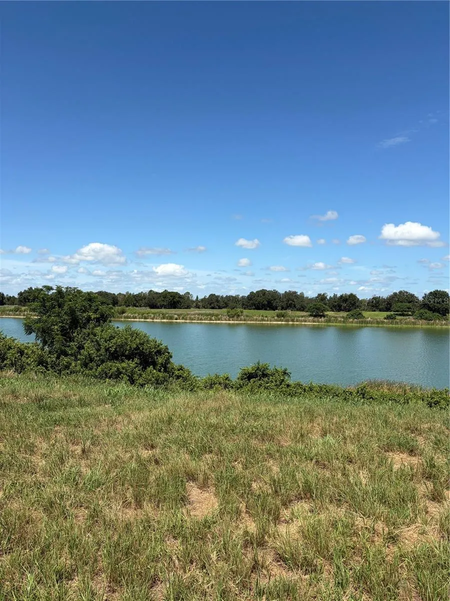 10349 COUNTY ROAD 555 Fort Meade, FL 33841