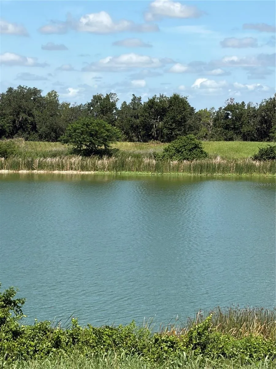 10349 COUNTY ROAD 555 Fort Meade, FL 33841