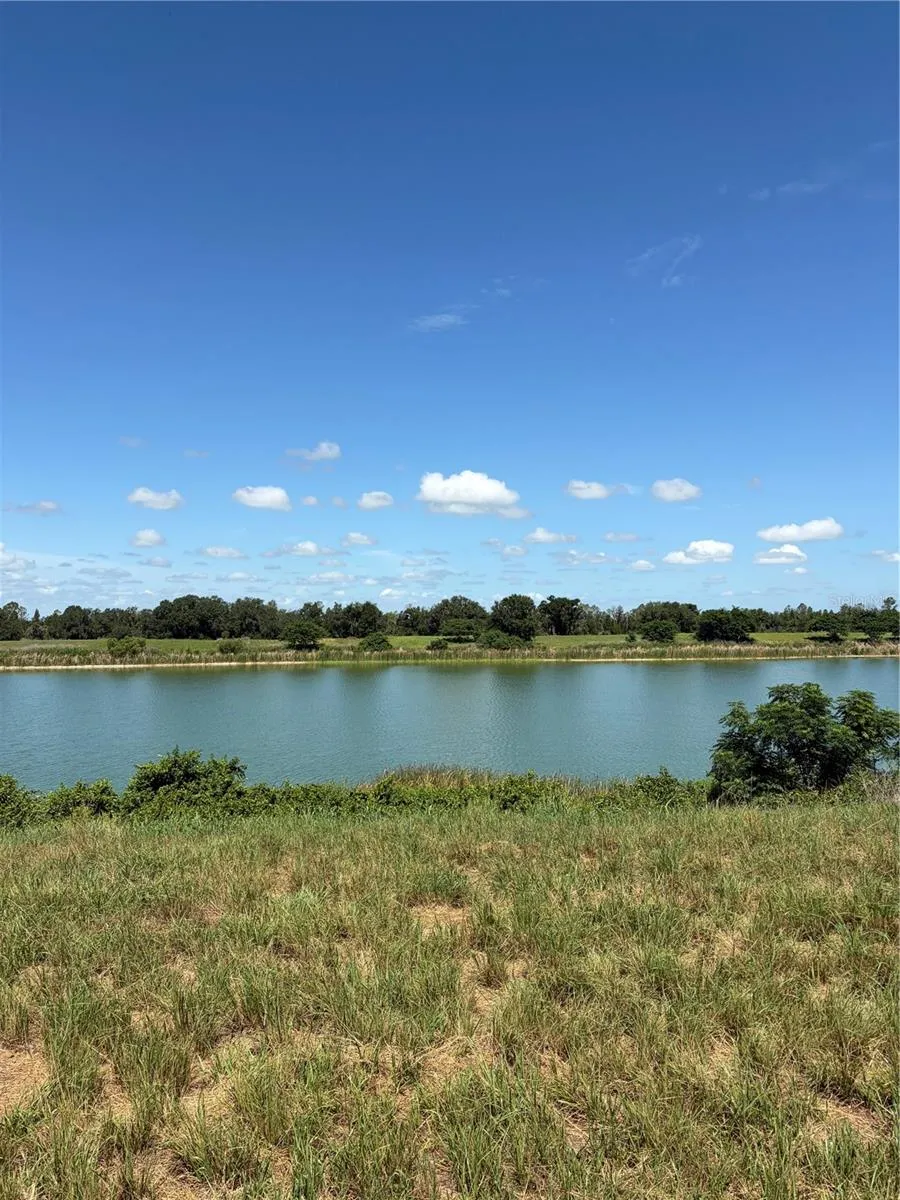 10349 COUNTY ROAD 555 Fort Meade, FL 33841