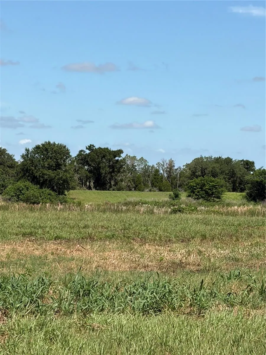 10349 COUNTY ROAD 555 Fort Meade, FL 33841