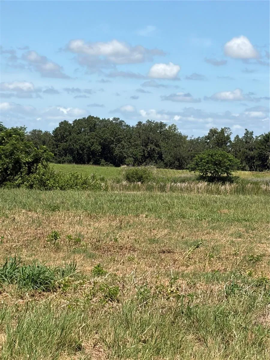 10349 COUNTY ROAD 555 Fort Meade, FL 33841