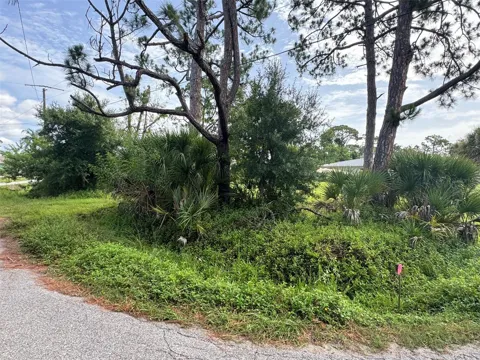 GULL ROAD