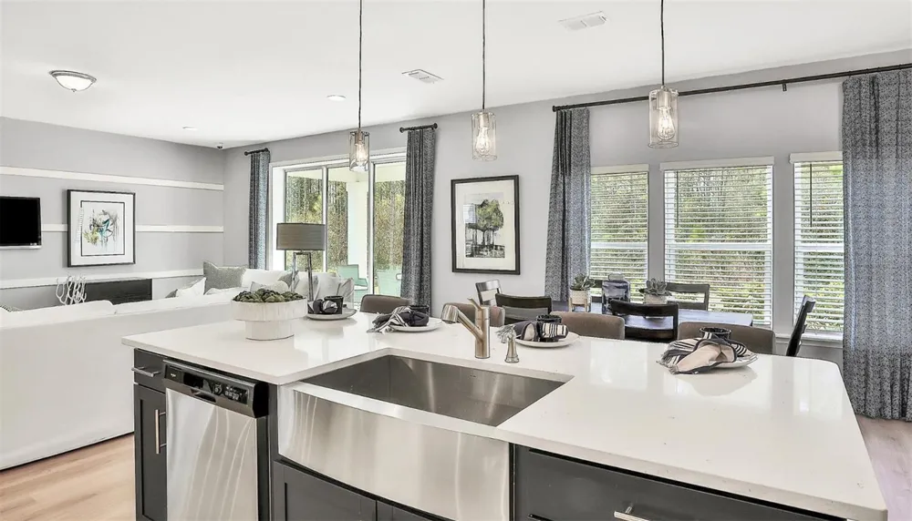 765 PINTAIL TERRACE Orange Park, FL 32073