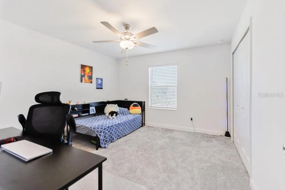 8241 CORNER PINE WAY New Port Richey, FL 34655