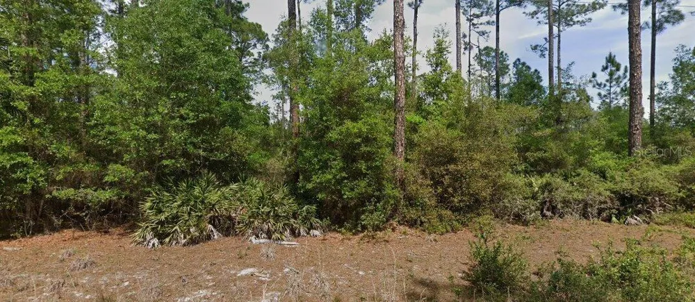 148 ARDEN STREET Georgetown, FL 32139