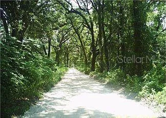 148 ARDEN STREET Georgetown, FL 32139