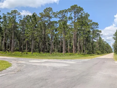 201 ALLAMANDA DRIVE
