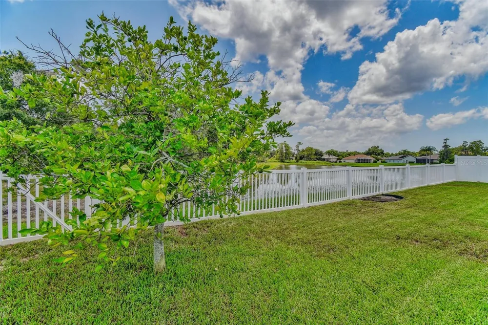 8706 LINEBROOK DRIVE Trinity, FL 34655