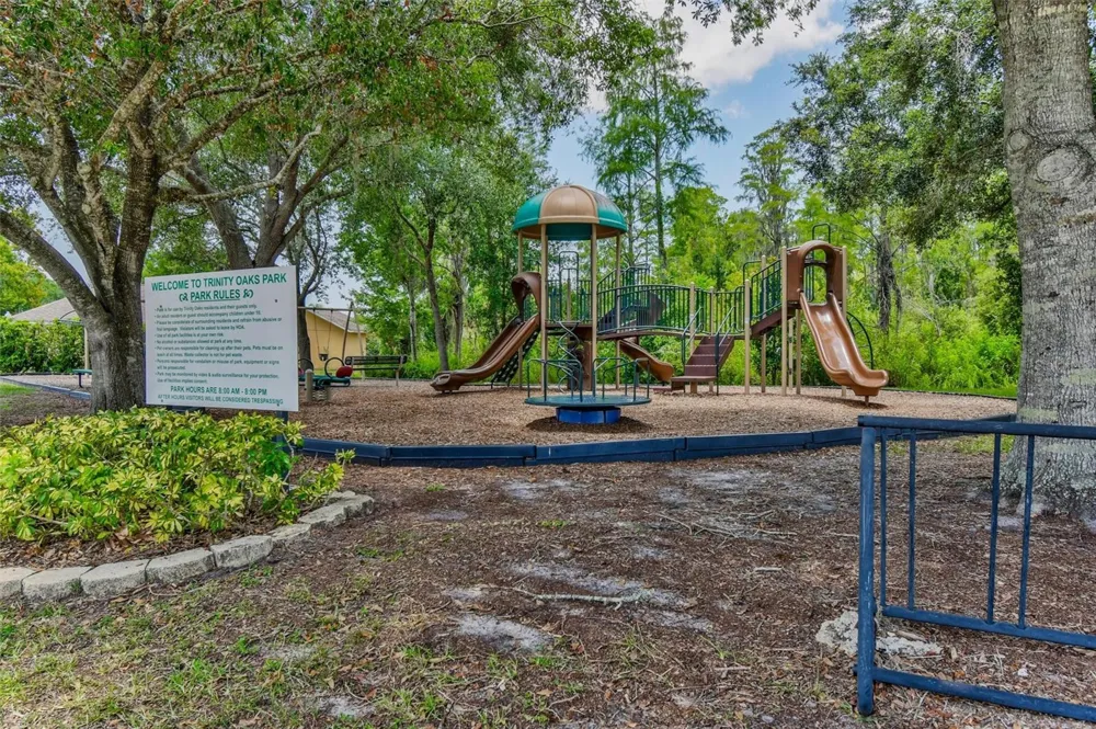 8706 LINEBROOK DRIVE Trinity, FL 34655