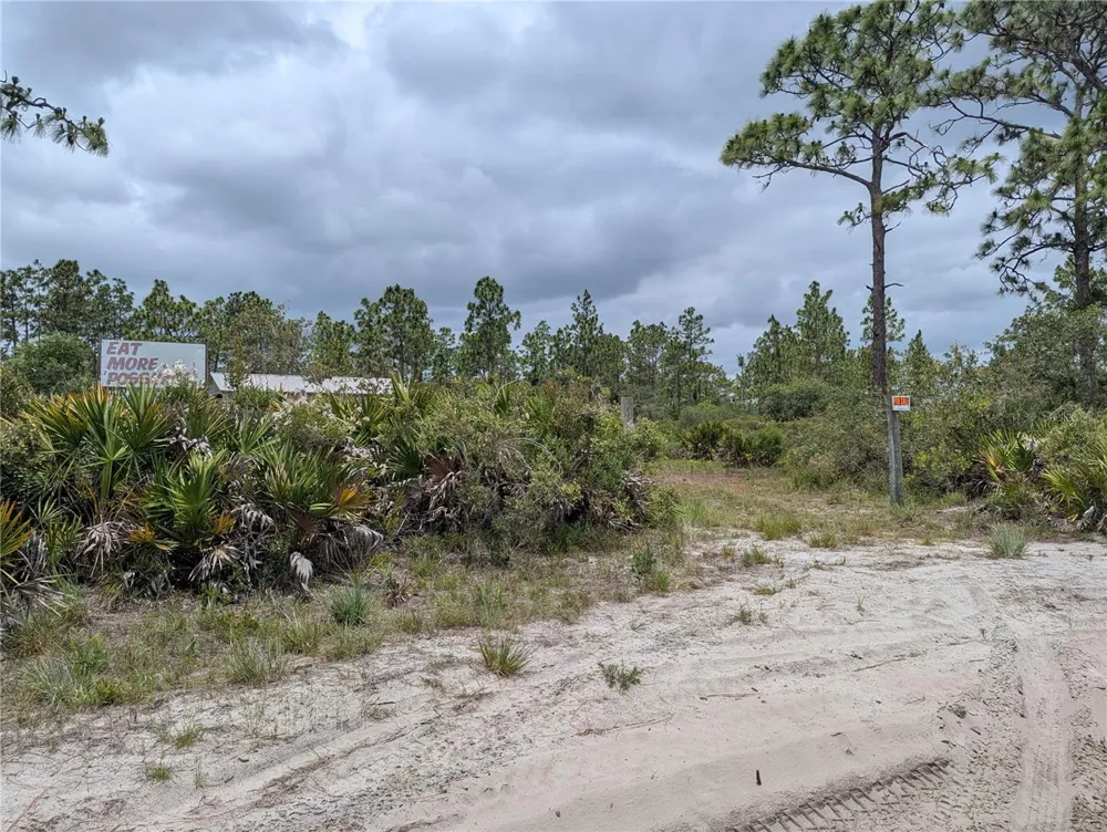 HOLOPAW GROVES ROAD St Cloud, FL 34771