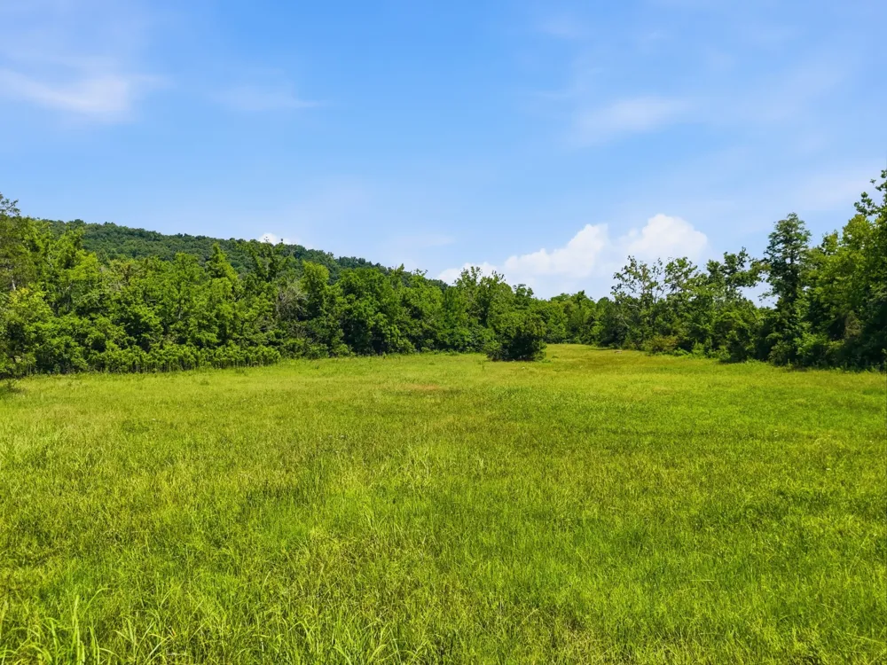 813 Ward Rd Decatur, TN 37322