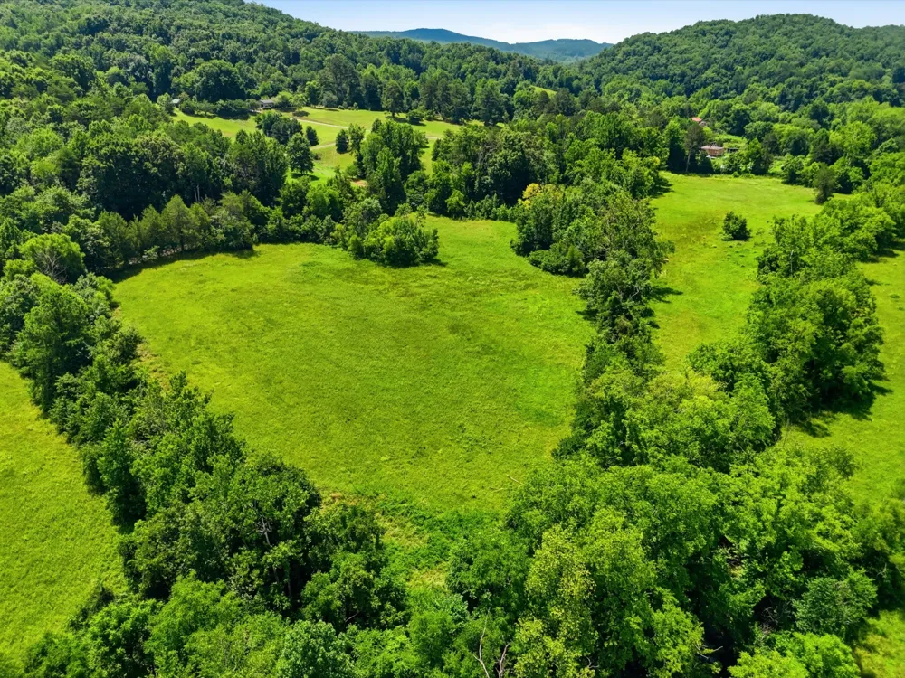813 Ward Rd Decatur, TN 37322