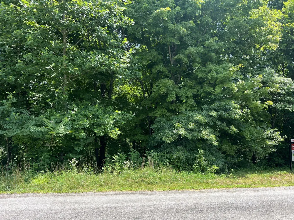 0 Lafever Ridge Rd Silver Point, TN 38582