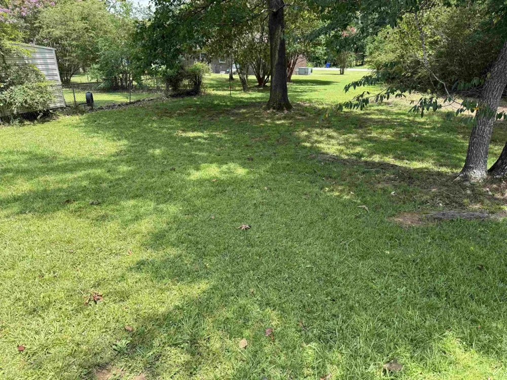 155 WILLOW ST Savannah, TN 38372