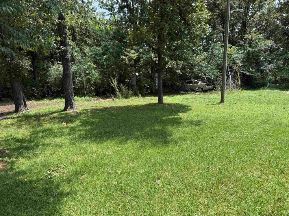 155 WILLOW ST Savannah, TN 38372
