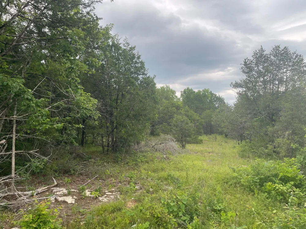 3822 Bivens Hill Rd Readyville, TN 37149
