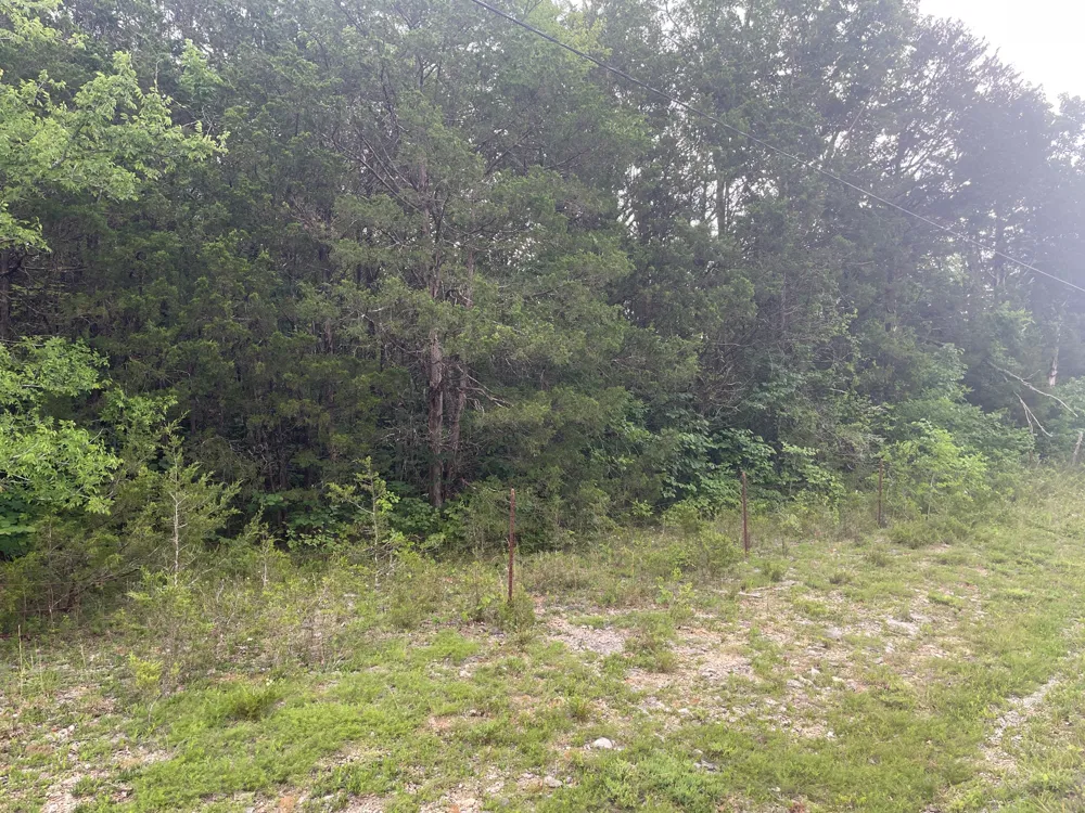 3822 Bivens Hill Rd Readyville, TN 37149