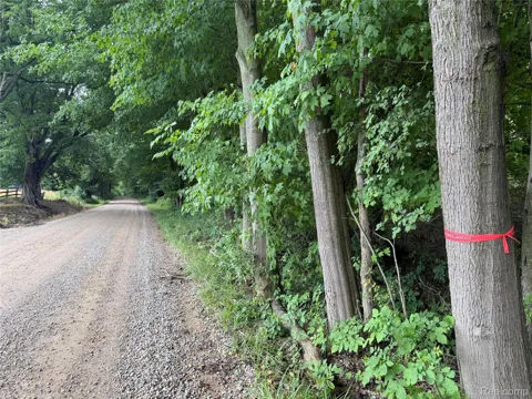 Stanton Lake Rd