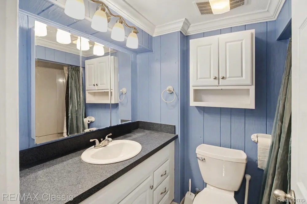 22900 Valerie Street Lyon Charter Township, MI 48178