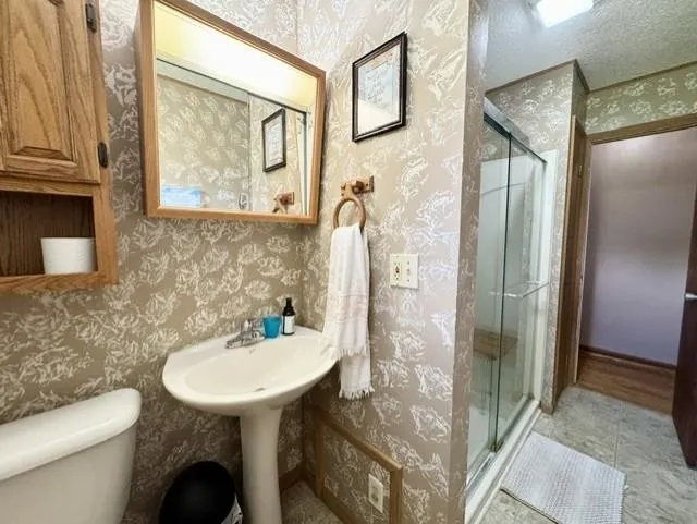 4721 E Sidney Road Evergreen Township, MI 48888
