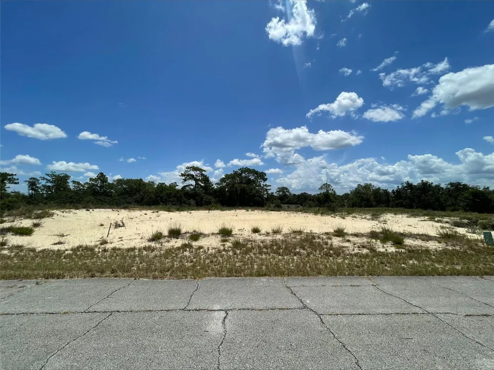 1344 HOMOSASSA COURT Poinciana, FL 34759