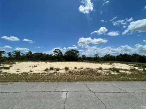 1344 HOMOSASSA COURT