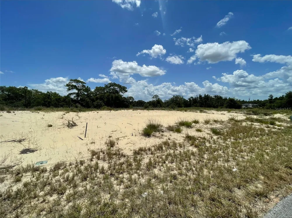 1344 HOMOSASSA COURT Poinciana, FL 34759