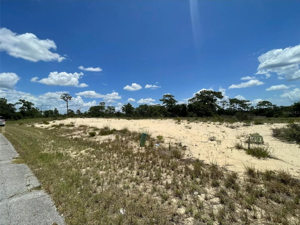 1344 HOMOSASSA COURT Poinciana, FL 34759