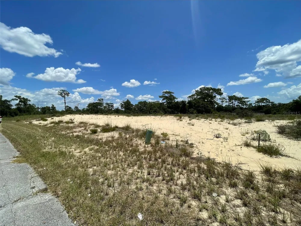 1344 HOMOSASSA COURT Poinciana, FL 34759
