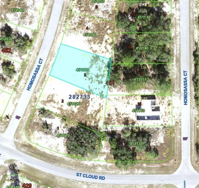 1344 HOMOSASSA COURT Poinciana, FL 34759