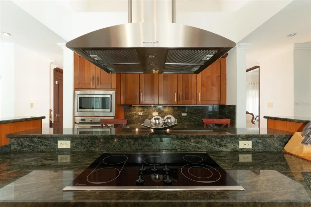 24 PASEO LAS PALMAS Dorado, Pr, PR 00646