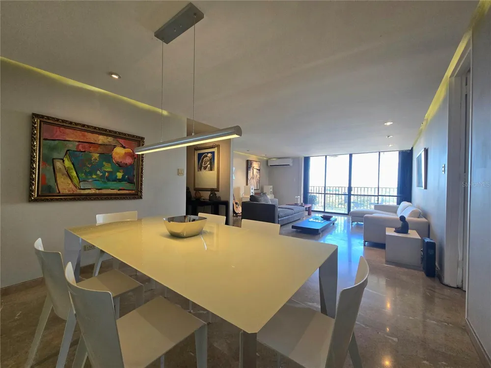 364 SAN JORGE STREET #9C San Juan, PR 00911
