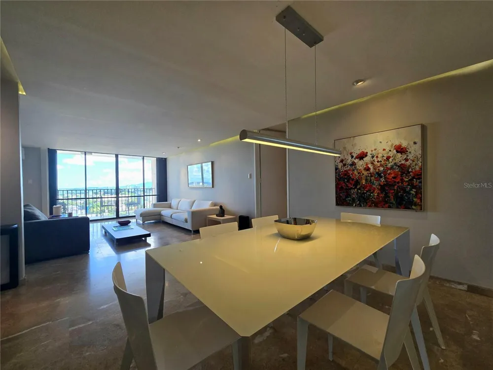 364 SAN JORGE STREET #9C San Juan, PR 00911